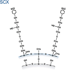 カプセルパックにおけるシリカゲルへのSCX基の結合状態