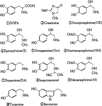 図1 生体アミン類11種類の一斉分析