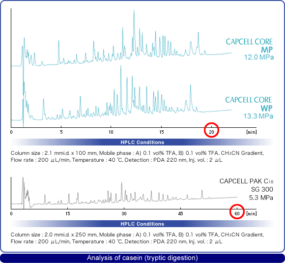 Analysis of casein (tryptic digestion)