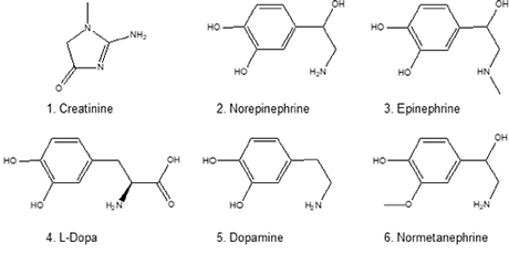 Analysis of Nucleic-Acid Bases and Nucleosides via Gradeient Elution