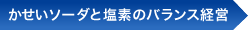 かせいソーダと塩素のバランス経営