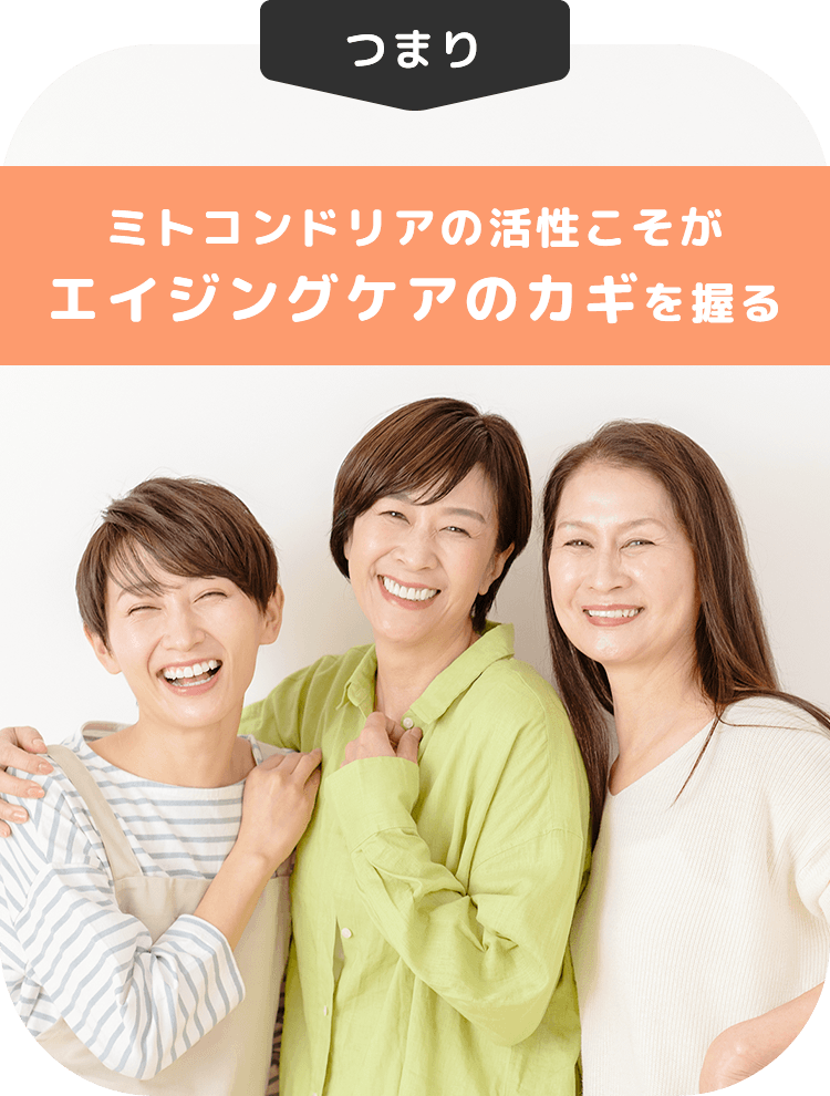 つまり、ミトコンドリアの活性こそがエイジングケアのカギを握る