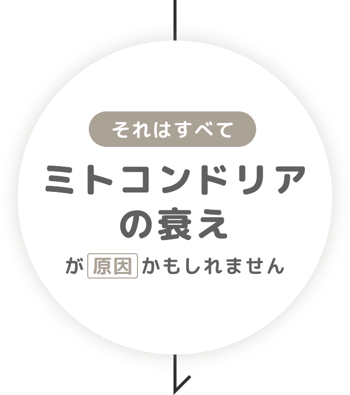 それはすべてミトコンドリアの衰えが原因かもしれません